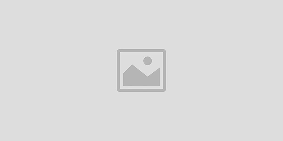 wholesaleimall-2025 promo